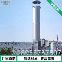 沼气燃烧火炬 地面式废气排放燃烧设备 化工养殖沼气火炬